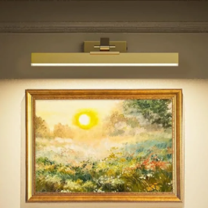 Picture Lights for Wall, Brass Battery Operated Picture Light 16in Art Light CCT Dimmable Recharging Battery Wall Light with Remote Control for Living Room Gallery